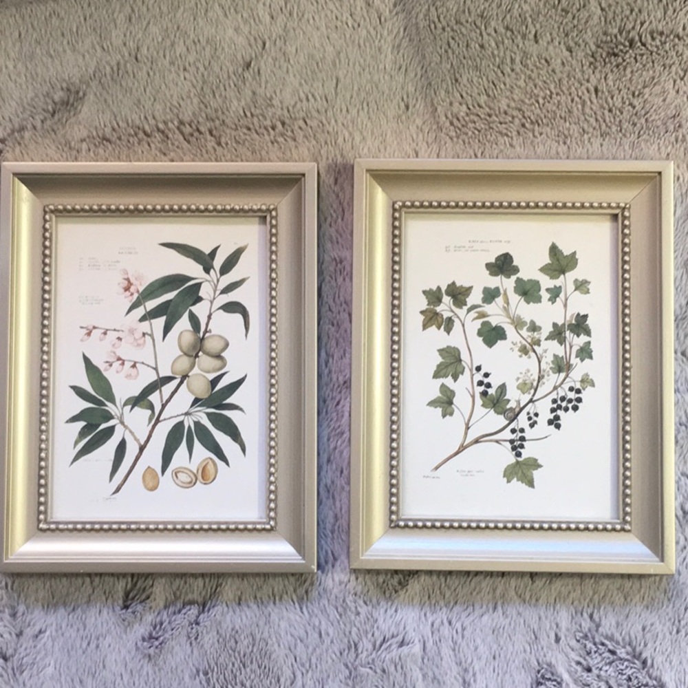 3x Framed Floral Prints